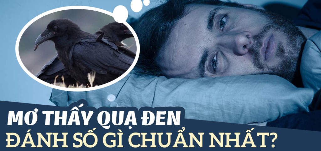 Nằm mơ thấy quạ đen là điềm báo gì? Đánh con gì?